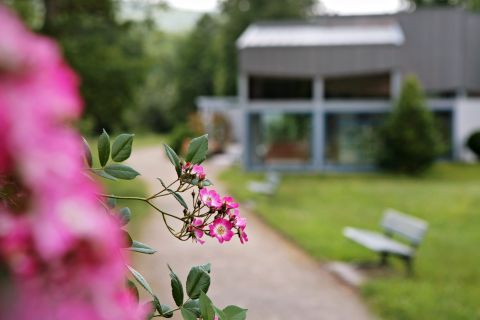 Radweg mit Blumen im Fokus